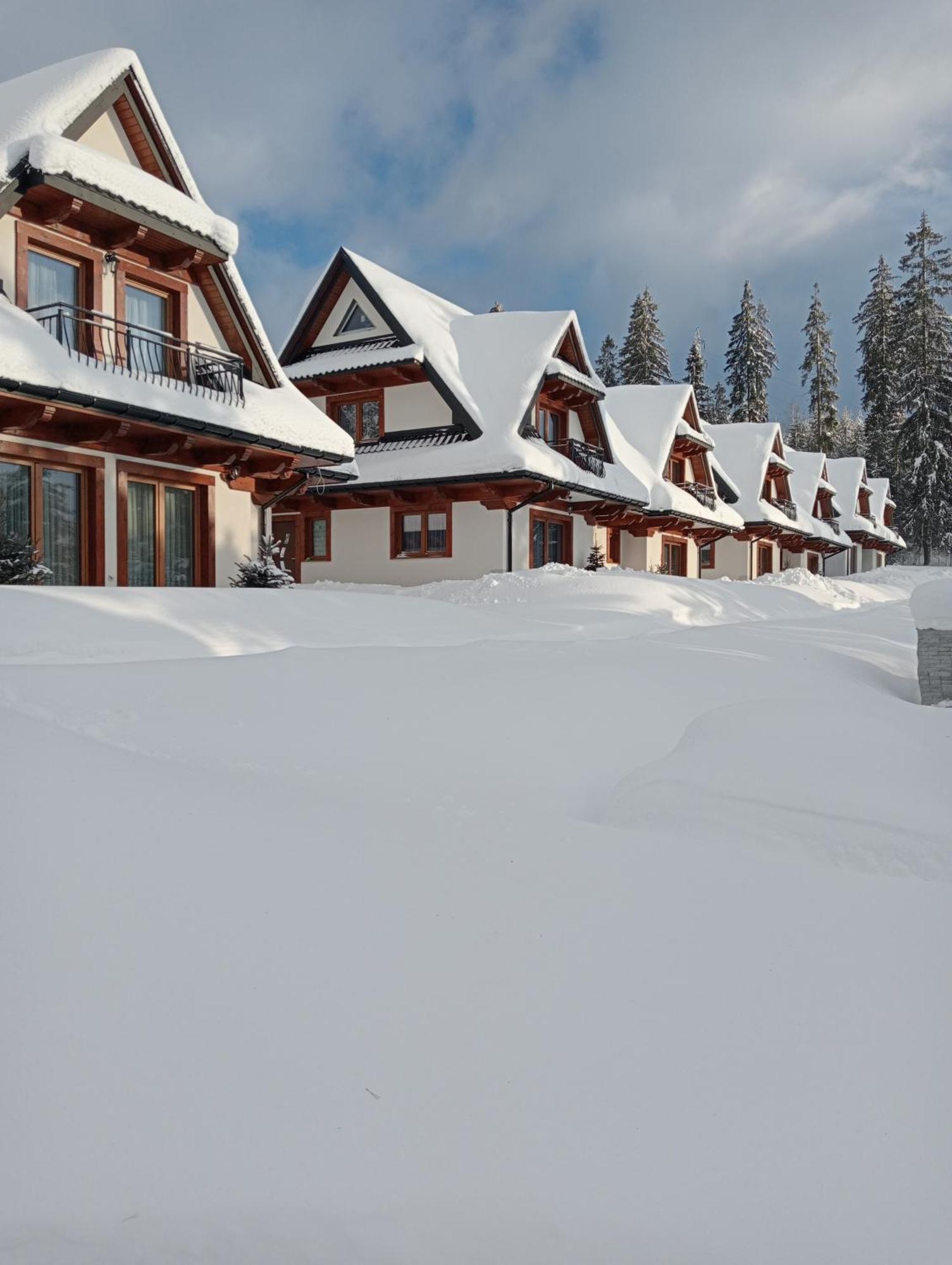 Podhale Cottages - Domki Podhalanskie ザコパネ エクステリア 写真